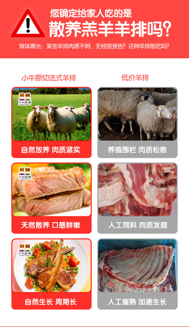 天猫超市 小牛凯西 法式羊排新鲜羊肉600g 图3