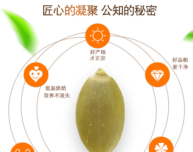 南瓜子仁原香味即食南瓜新货烘炒 半斤 图6