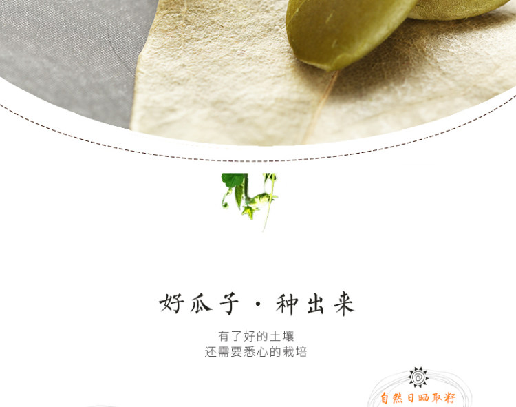 南瓜子仁原香味即食南瓜新货烘炒 半斤 图9