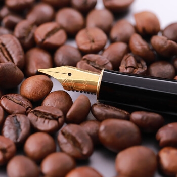 PARKER 派克 钢笔 卓尔系列磨砂黑金夹墨水笔 图5