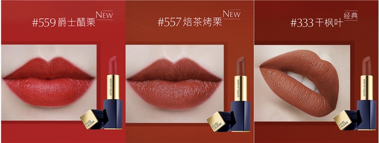 雅诗兰黛（Estee Lauder） 倾慕唇膏丝绒系列21#（333）3.5g（干枫叶色 口红哑光） *2件 图2