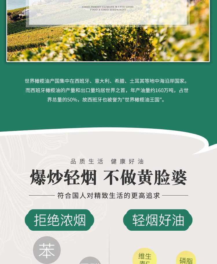贝蒂薇兰 橄榄油食用油调和油 5L 10月新油 图6