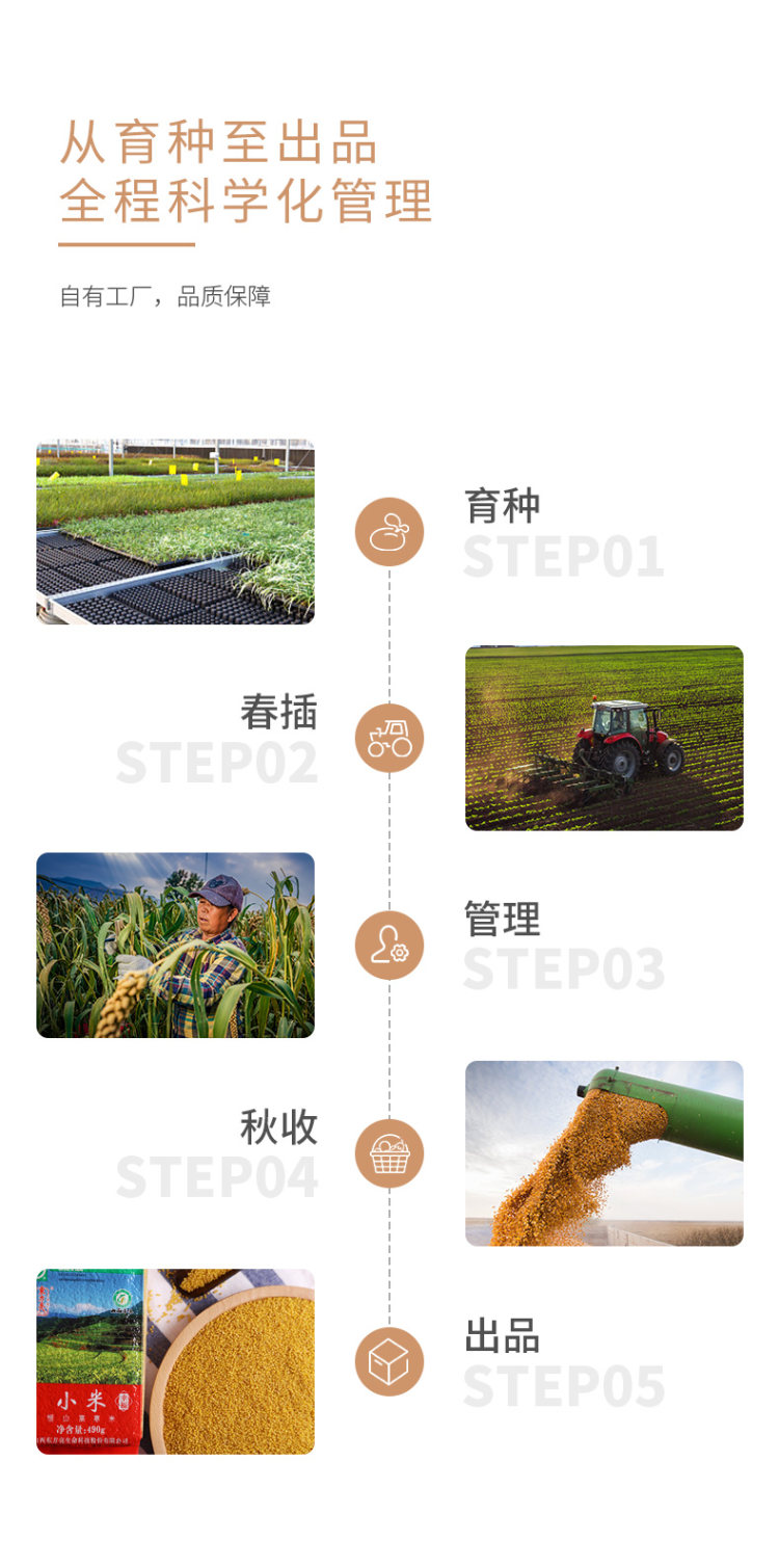 东方亮 山西特产黄小米 490g*5包 图4