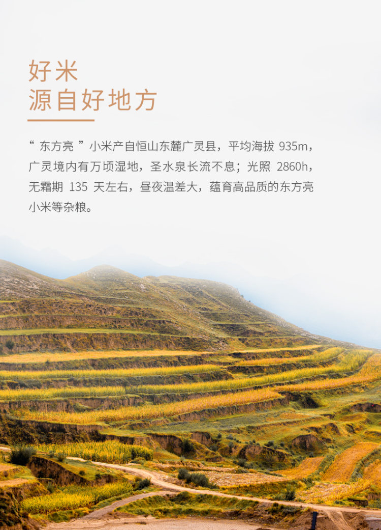 东方亮 山西特产黄小米 490g*5包 图3