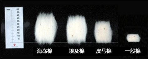 日本 深海 DeepOcean 高支丝光棉 春秋款 男修身长袖衬衫 图1