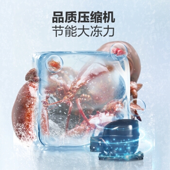 14点开始： Haier 海尔 BC/BD-318HD 318升 卧式冷柜 图5