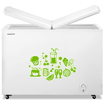 Ronshen 容声 BCD-273KB 卧式冰箱 273升 图1