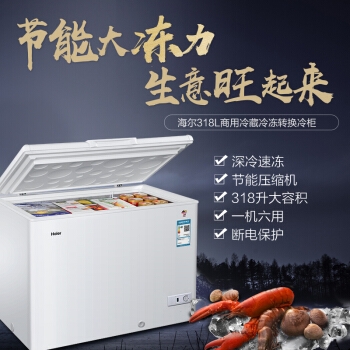 14点开始： Haier 海尔 BC/BD-318HD 318升 卧式冷柜 图3