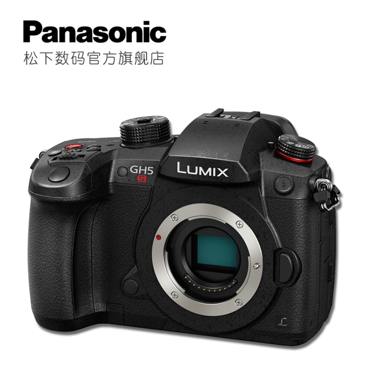 Panasonic 松下 LUMIX G DC-GH5S 微型单电数码相机 图4