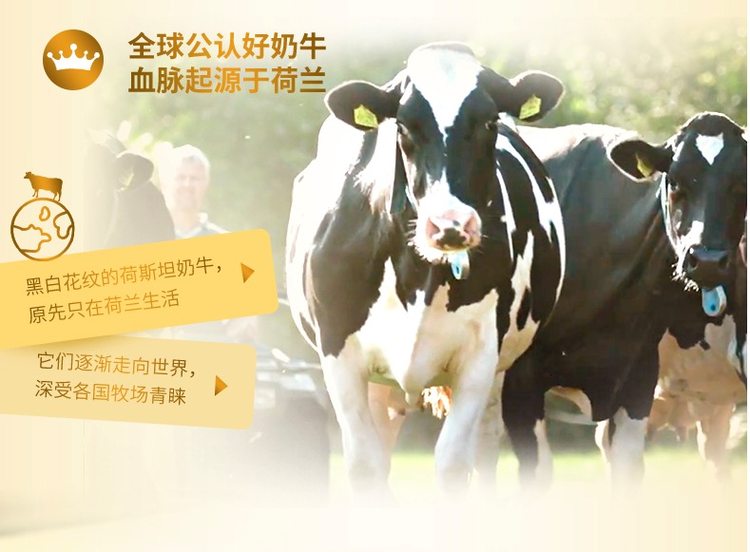 荷兰进口 雀巢 NIDO 全脂高钙奶粉 900g*2袋 图2