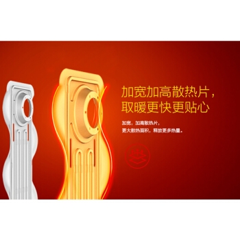 SINGFUN 先锋 DYT-L1 电热油汀 图3