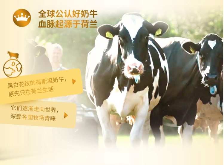 荷兰进口 雀巢 NIDO 全脂高钙奶粉 900g/袋 图2