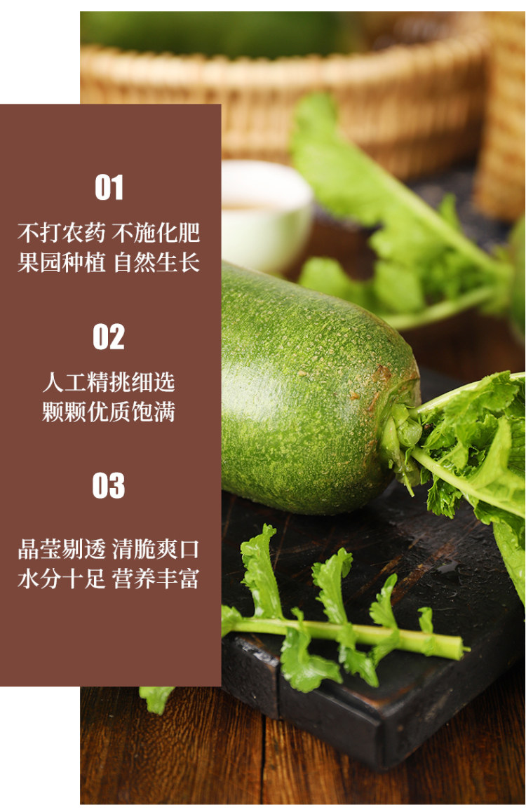 山东潍坊水果萝卜5斤 图3
