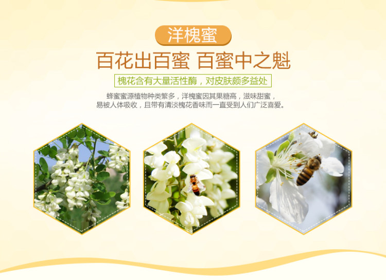 花圣 纯正天然洋槐蜂蜜 500g*2瓶 图2