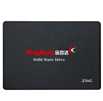KINGBANK 金百达 KP320 SSD固态硬盘 256GB 图1