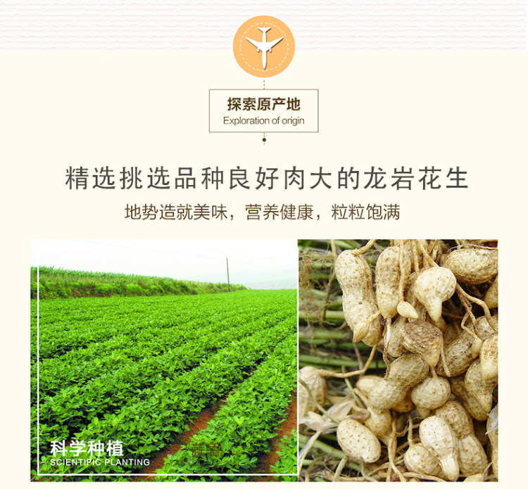 龙岩花生 星派 蒜香五香花生500g*2大袋 图3