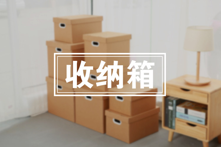 肖夫人 牛皮纸收纳盒 搬家纸箱 27*18*16cm 图1