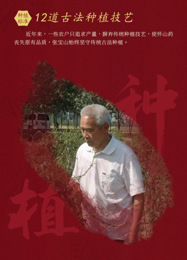 非遗传承 焦作怀山药粉 图4
