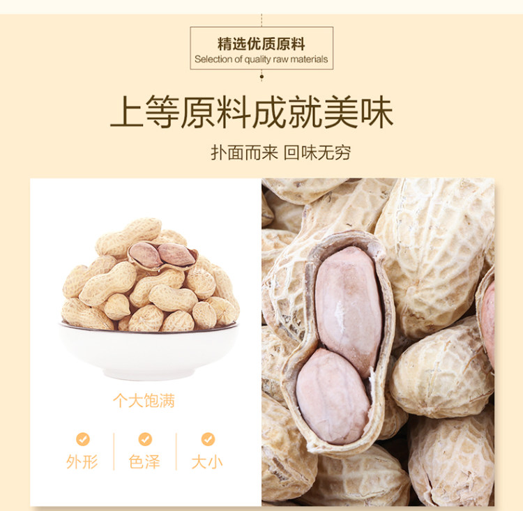 龙岩花生 星派 蒜香五香花生500g*2大袋 图4