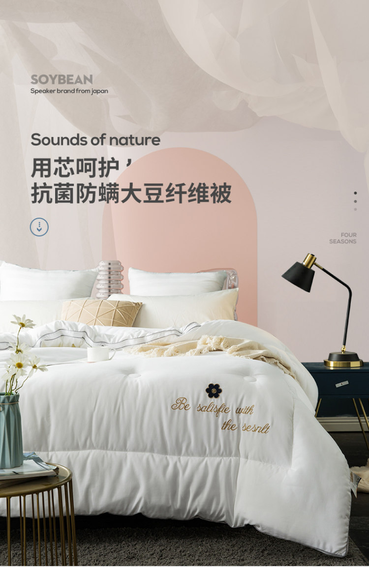 雅鹿 升级款抗菌防螨大豆春秋被 图1