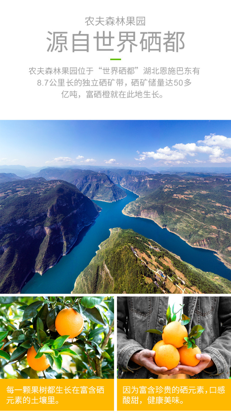 农夫森林 赣南脐橙现摘现发10斤 图3