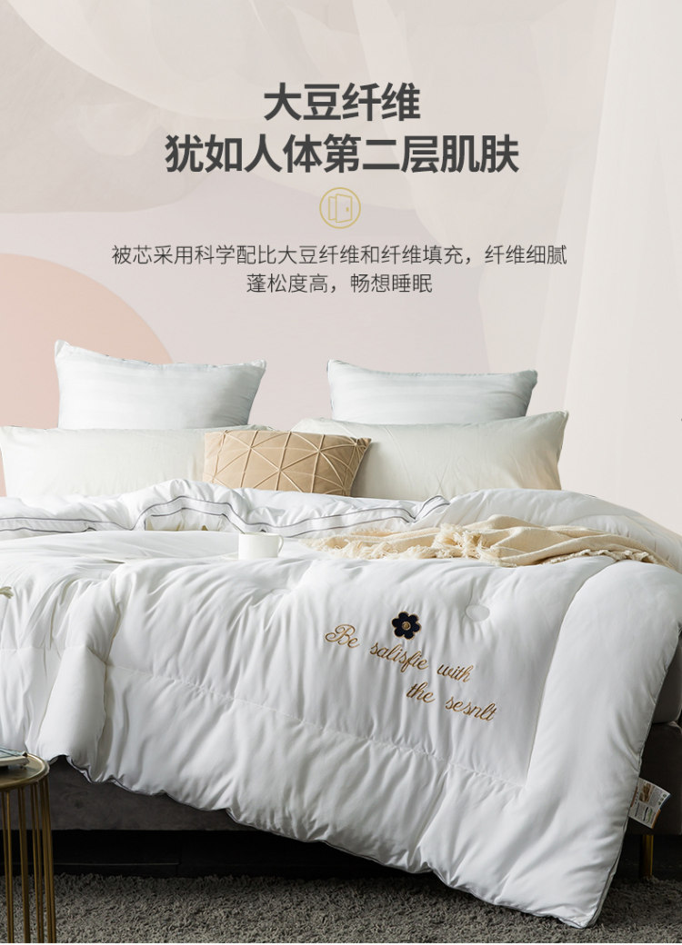雅鹿 升级款抗菌防螨大豆春秋被 图7