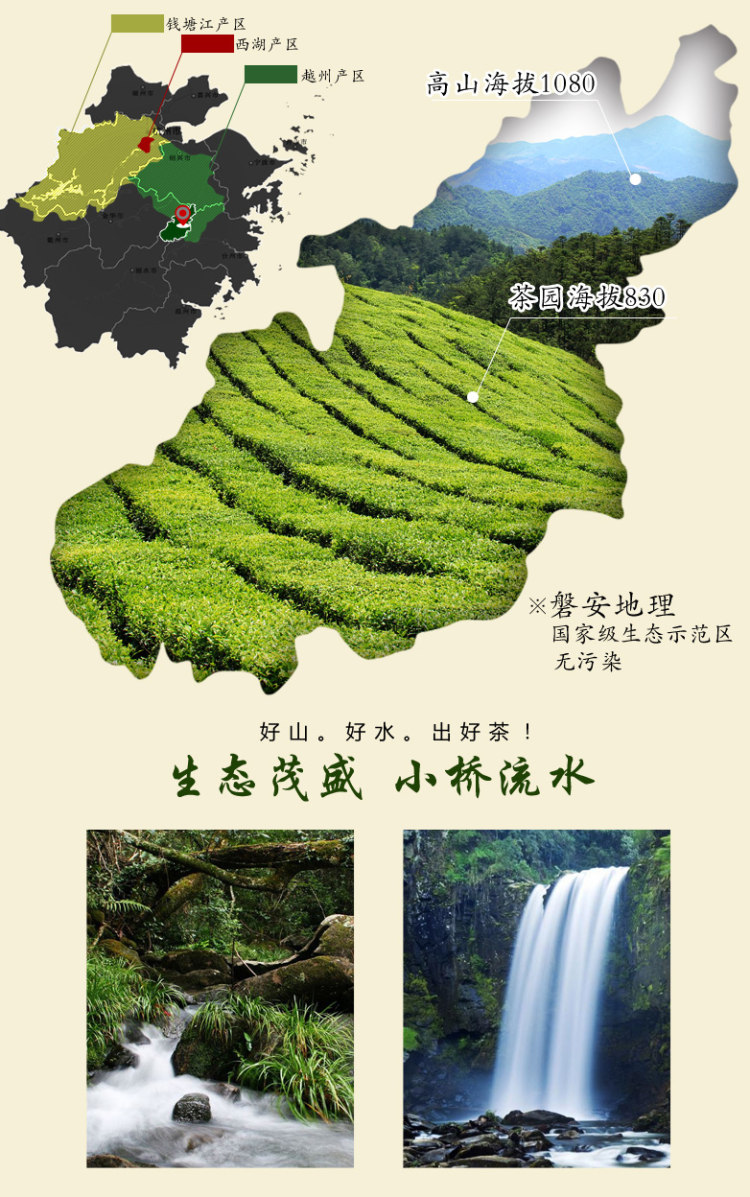绿鹰茶叶 西湖龙井 2020新茶 雨前茶 250g 图3