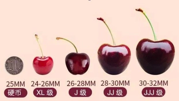 现货 智利进口 车厘子 3斤 图1