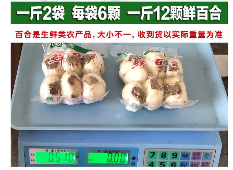 米家山 9年生 兰州新鲜甜百合 500g 共12头 真空包装 图2