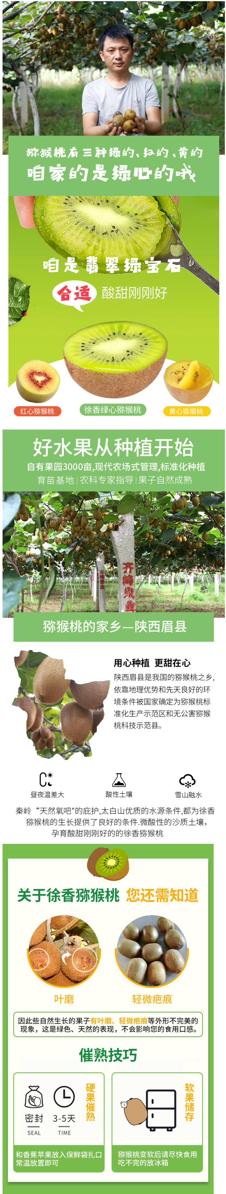 产自猕猴桃之乡 齐峰缘 陕西徐香猕猴桃 15枚 图2