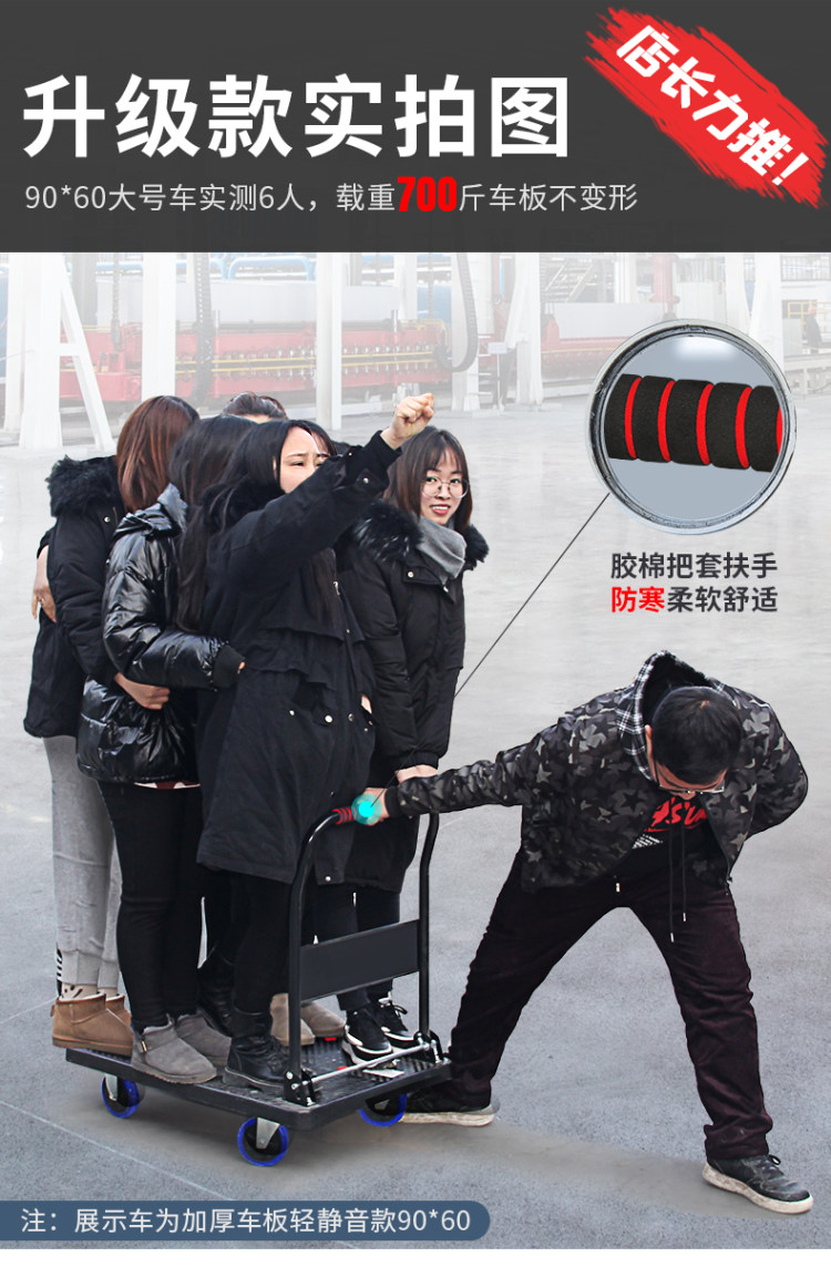 飞达 可折叠小推车拉货车 图1