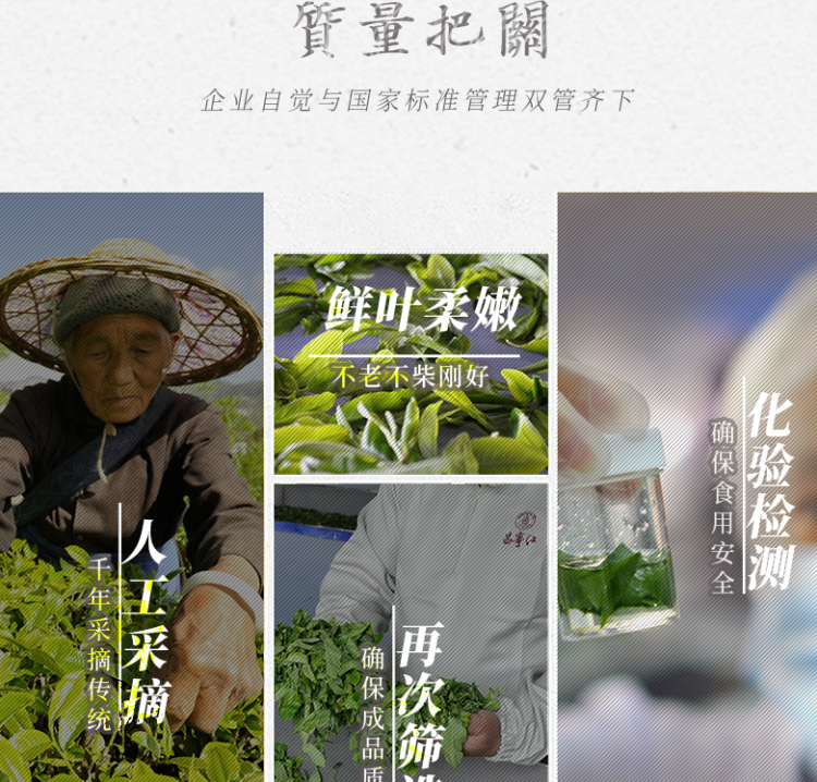 立顿红茶供应商 昌宁红 特级生普洱茶饼 200g 图8