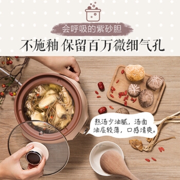 Bear 小熊 DDG-D20N1 电炖锅 2L 杏色 图2