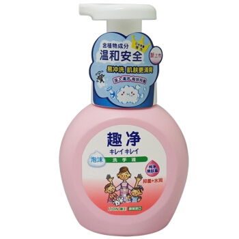 限地区： LION 狮王 抑菌泡沫洗手液 水润爽肤香型 (瓶装250ml+替换装200ml*2) *3件 图2