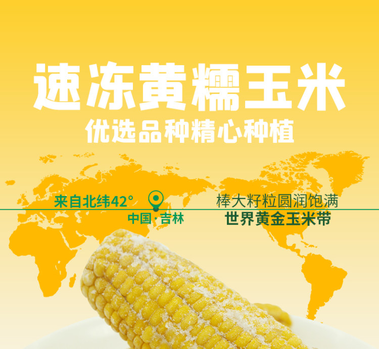 东北新鲜甜玉米新鲜速冻 10支 图1