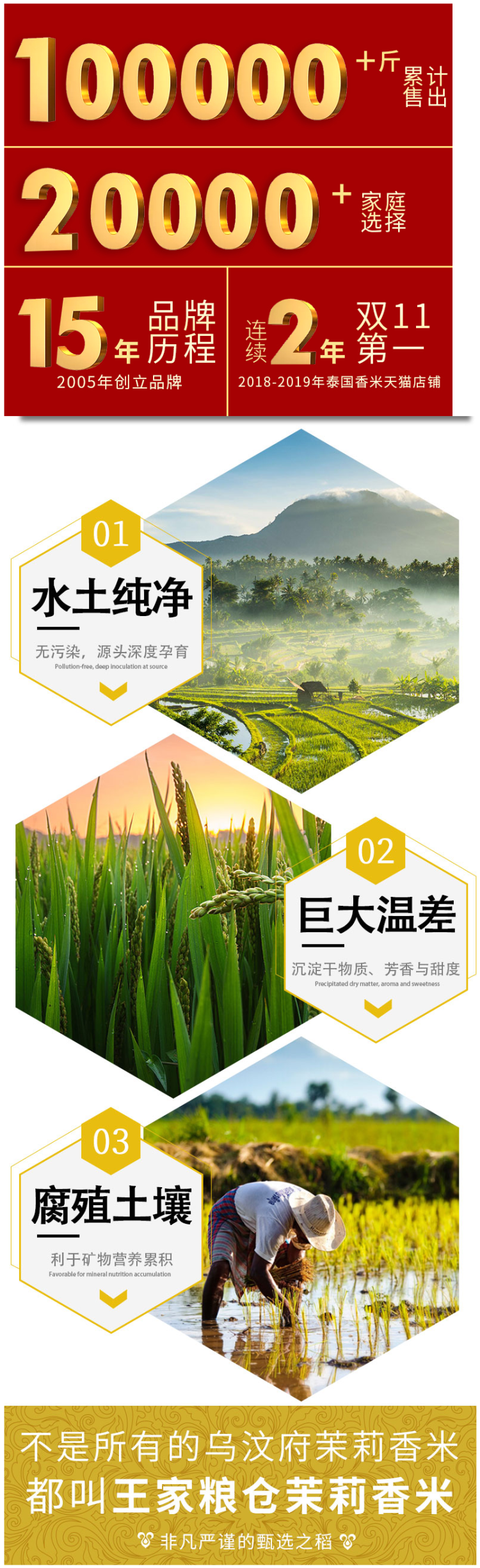 泰国原粮进口 王家粮仓 2020新米 乌汶府茉莉香米 10斤 图8