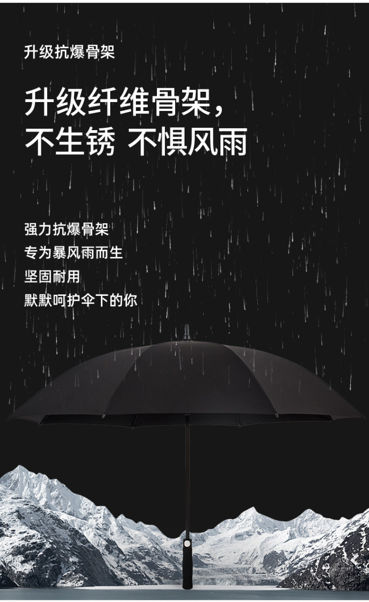 宝迪妮 劳斯莱碳纤维商务伞 图1