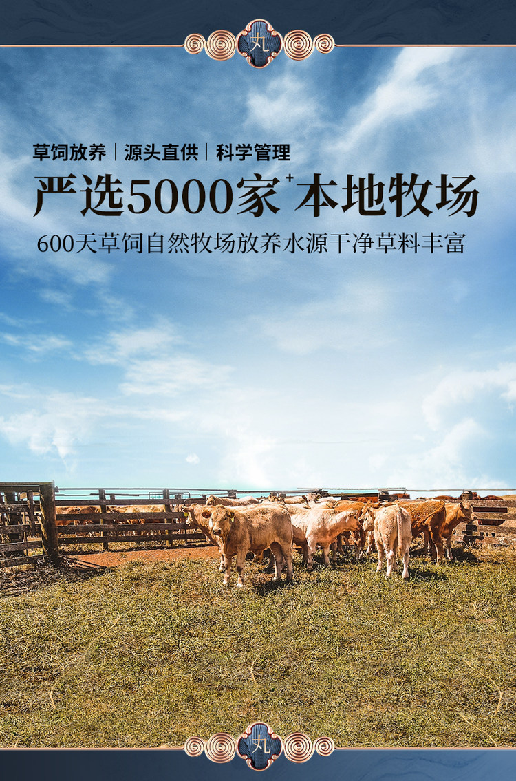 正宗潮汕牛肉丸牛筋丸2斤 图2