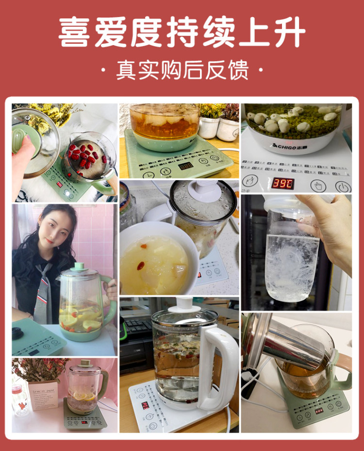 志高 养生壶 全自动小型玻璃煮茶壶 升级玻璃面板 图3