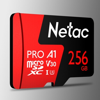 Netac 朗科 P500 A1 V30 TF存储卡 256GB 图2