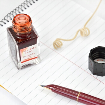 京东PLUS会员： PILOT 日本百乐 INK-15-FG 钢笔墨水彩墨 冬柿 15ml *3件 图5