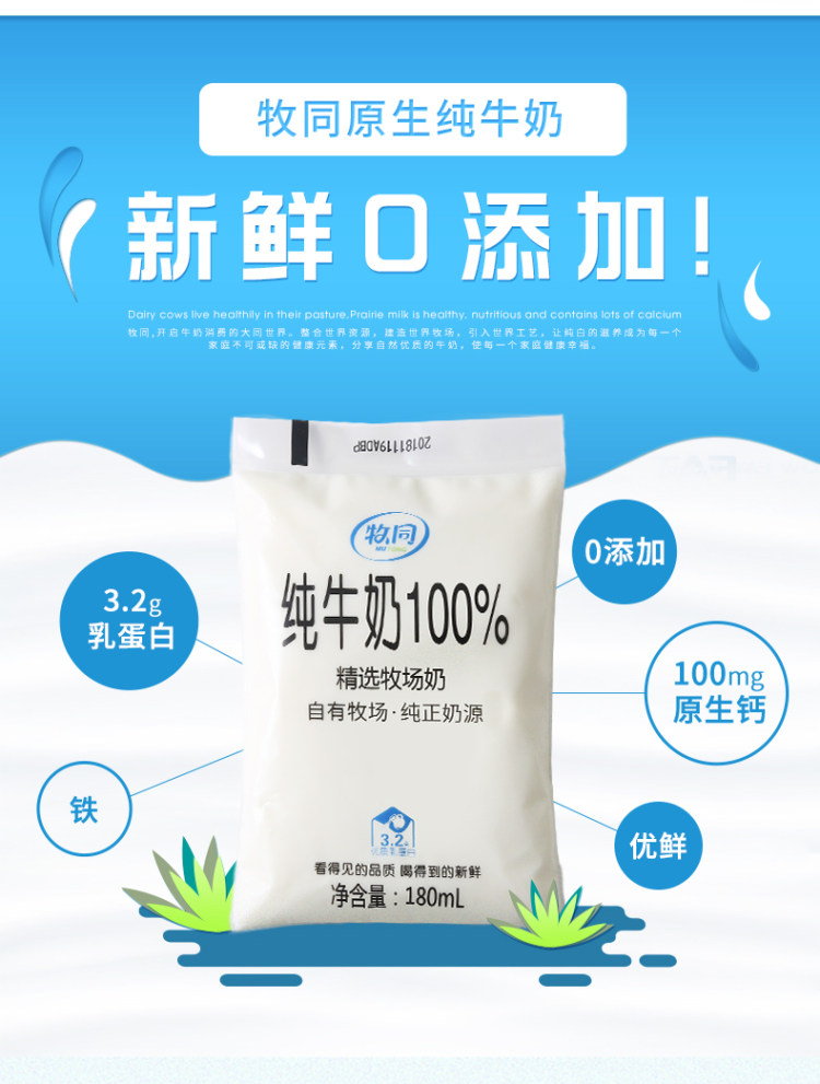 夏进旗下 牧同 3.2g高蛋白 100%全脂纯牛奶 180ml*14袋 图4