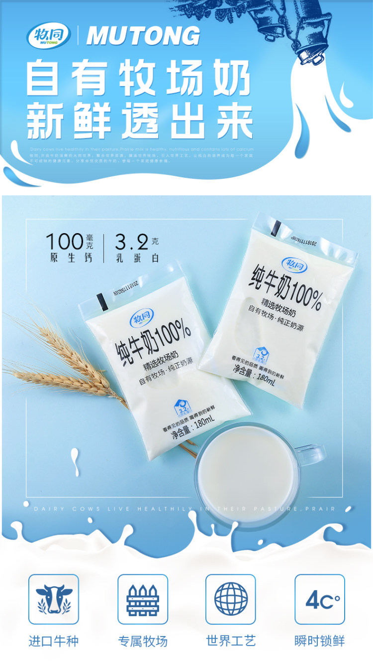 夏进旗下 牧同 3.2g高蛋白 100%全脂纯牛奶 180ml*14袋 图1