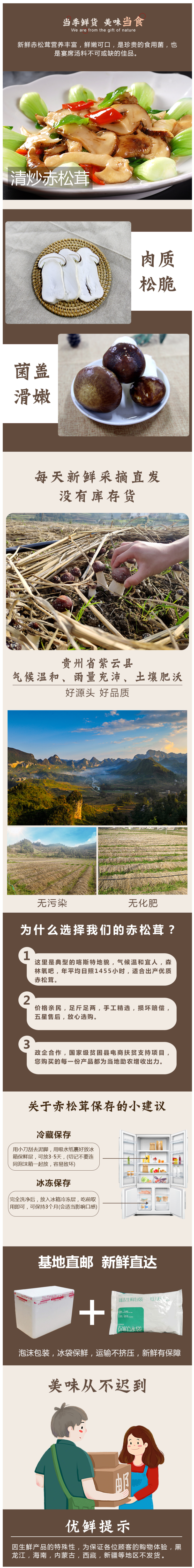 贵州紫云县 新鲜赤松茸 2斤 图2