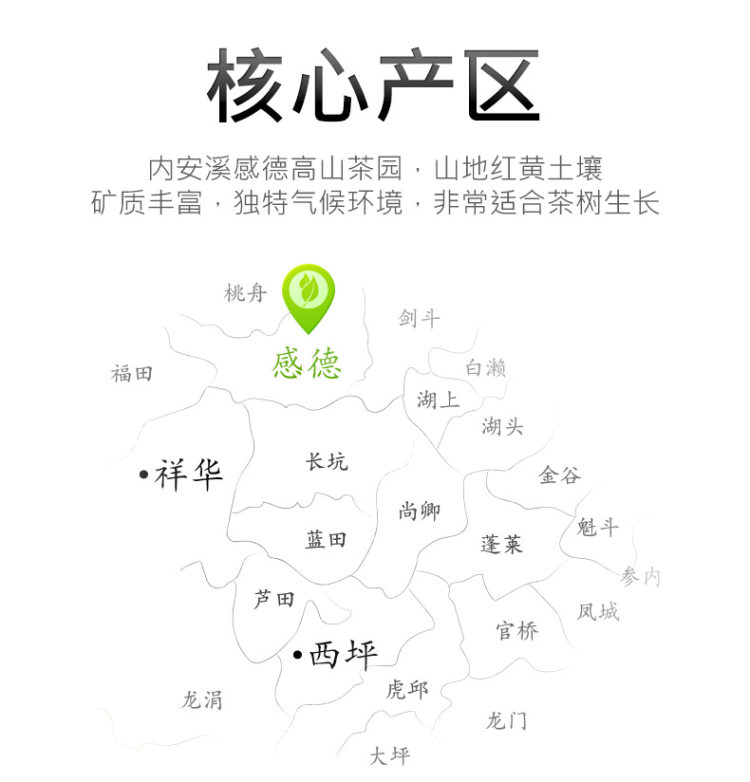 郡望堂号 安溪铁观音独立小包装125g 图4