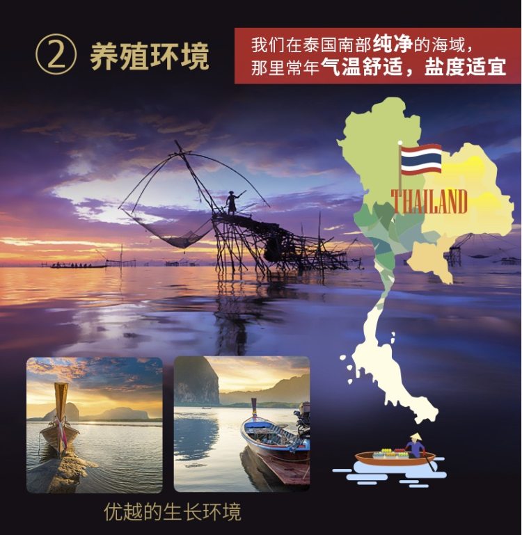 天猫认证 泰国原装 KingOscar 熟冻拉直凡纳对虾 750g BAP4星品质 图8