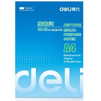 deli 得力 莱茵河 A4复印纸 80g 500张/包 5包装（2500张） 图2