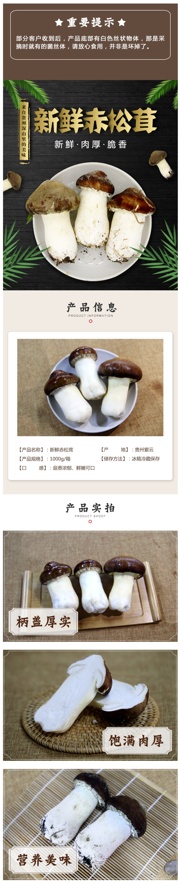 贵州紫云县 新鲜赤松茸 2斤 图1