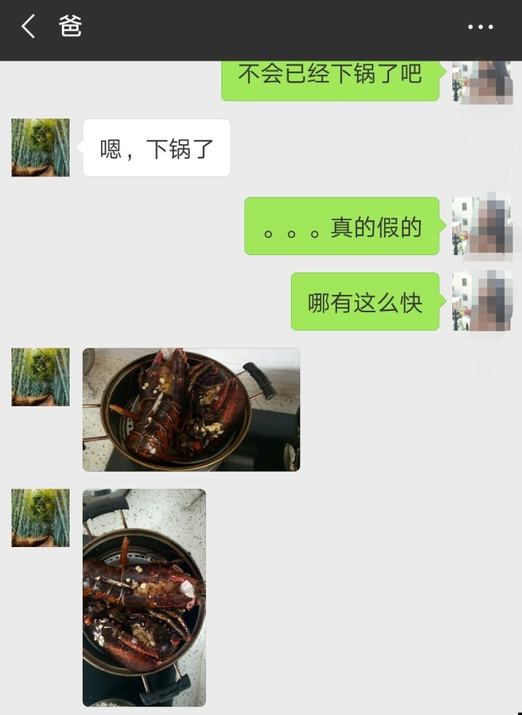 味库海鲜 鲜活波士顿龙虾 450g-550g/只 死亡包赔 图2