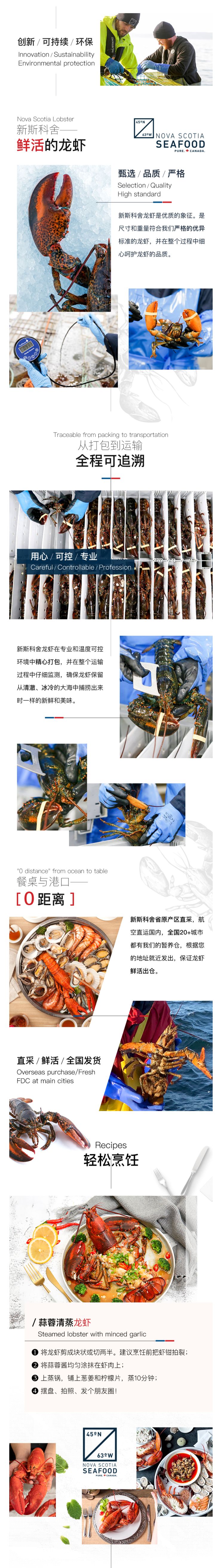 味库海鲜 鲜活波士顿龙虾 450g-550g/只 死亡包赔 图8